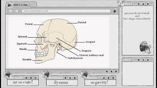 desired skull and face shape subliminal [upl. by Adnoved299]