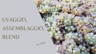 Uvaggio Assemblaggio e Blend [upl. by Noel284]