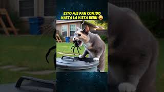 SASY LA CHIHUAHUA CORRE PELIGRO🥲 chihuahua perros mascotas animales perroabandonado [upl. by Renae]