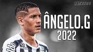 Ângelo Gabriel 2022 ● Santos ► Amazing Skills amp Goals  HD [upl. by Haye]