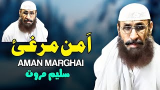 Aman Marghai  Saleem Marwat Pashto Song 2024  New Pashto Song 2024  Tappy  HD Video [upl. by Notrab]