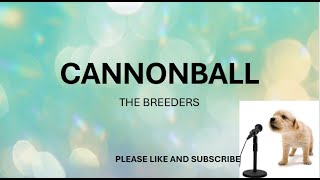 CANNONBALL BY THE BREEDERS LYRICS [upl. by Victorie470]