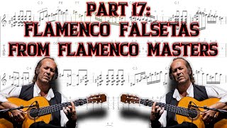 Part 17 Flamenco Falsetas From Flamenco Masters [upl. by Kristyn]