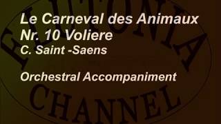 Tempo 84 bpm Orchestral Accompaniment for Flute Solo Le carneval des animaux Voliere  Play along [upl. by Mal]