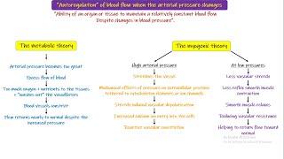 Metabolic Theory Myogenic Theory Chapter 17 part 5 Guyton and Hall Physiology [upl. by Gunning525]