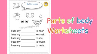 Body parts worksheets  parts of the body worksheets for kids [upl. by Dinin]