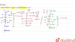 Glucose Mannose and fructosegive identical osazones Explain [upl. by Meta]