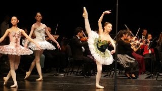 The Blue Danube Waltz  Ballet NCDC American River College [upl. by Bodi]