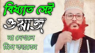 ঐতিহাসিক সেই ওয়াজ  Allama Delwar Hussain Saidi [upl. by Ruffina]