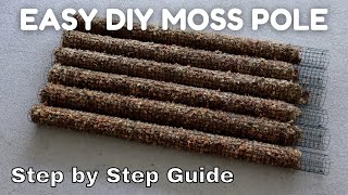 EASY DIY Sphagnum Moss Pole using Hardware Cloth  Step by Step Updated Tutorial [upl. by Lapointe]