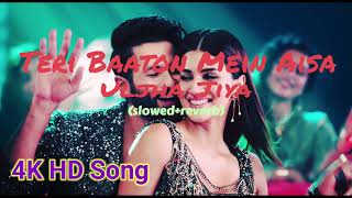 Teri Baaton Mein Aisa SlowedReverb  Shahid Kapoor Kriti Sanon  Sonia Lofi [upl. by Heffron289]