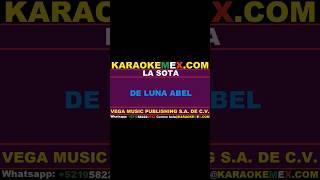 karaoke banda arkangel r15  la sota karaokemex [upl. by Eentroc]