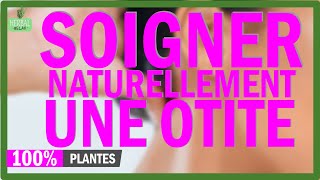 Comment soigner une otite NATURELLEMENT remède à base de plantes  Otite enfant et adulte [upl. by Kulseth]