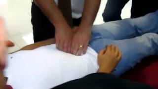 Osteopathy International course  Visceral Manipulation  Mesentry Technique [upl. by Lebasi899]