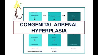 Congenital Adrenal Hyperplasia Adrenal enzyme deficiencies  MCQs  USMLE [upl. by Gunilla]