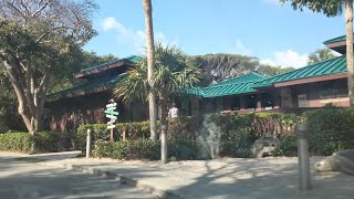 Gumbo Limbo Nature Center in Boca Raton FL [upl. by Anirtep57]