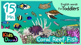 Coral Reef Fish  20 minutes Compilation  English Words for Toddlers  Kids Draw [upl. by Nydia]