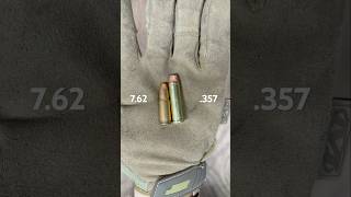 762x25 vs 357 Magnum Size Comparison [upl. by Osber]