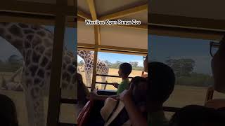 Werribee Open Range Zoo ❤️ [upl. by Arhas]