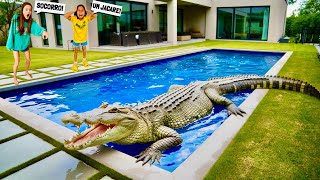 ENCONTRAMOS UM JACARÉ GIGANTE AQUI EM CASA🐊😰 [upl. by Ambrosi197]