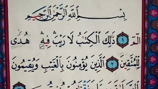 Surah AlBaqarah Sheikh AbdiRashid Ali Sufi [upl. by Reeba]