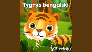 Tygrys bengalski [upl. by Lovering]