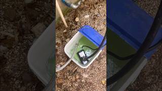 Tankless Water Heater Flush [upl. by Haskins]