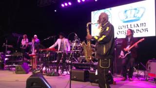 Pharoah Sanders live with the Atomic Bomb Band – Central Park Oct 4 2014 [upl. by Hellene]