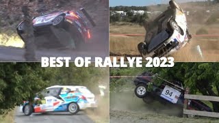 BEST OF RALLY 2023  CRASHES  MISTAKES  FLATOUT [upl. by Eednim252]