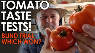 Tomato Taste Test Finding the BEST TASTING Tomato  Black Gumbo [upl. by Ranice228]