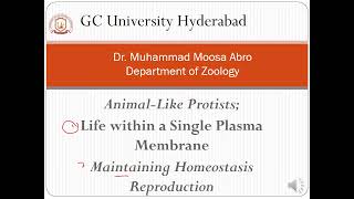 Protozoa Life within a Single Plasma Membrane Maintaining Homeostasis and Reproduction [upl. by Nelson]