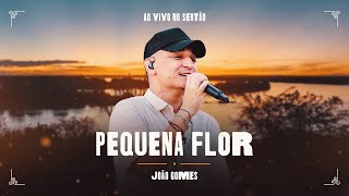 PEQUENA FLOR  João Gomes Ao Vivo no Sertão [upl. by Ellerehc851]