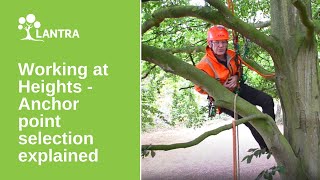 Working at Heights Compliance in Tree Climbing and Arb  17 Anchor Point Selection Explained [upl. by Eicam812]