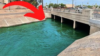 Roadside Canal Fishing for Catfish and Carp Urban Arizona [upl. by Zinn]