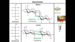 Lec10  Disaccharides and Polysaccharides [upl. by Kester]