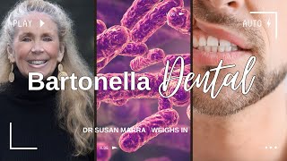 Dr Susan Marra discusses Bartonella and Dental Health [upl. by Richey]