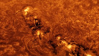 The Sun’s Incredible Activity Through My Telescope  October 4 [upl. by Stryker]