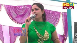 गोरी रानी  Gori Rani  Nangal Choti Program 2017 DHM Music [upl. by Warwick]