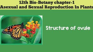 12th biobotany chapter1 Asexual And Sexual Reproduction In Plants STRUCTURE OF OVULE [upl. by Rehnberg488]