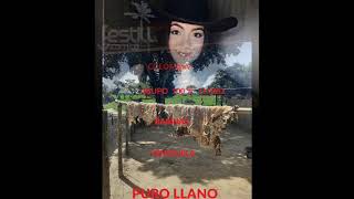 BESAME POQUITO A POCO ROSANGELA BELISARIO  CANTANTE [upl. by Penney]