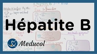 Hépatite B transmission symptômes et interpréter la sérologie hepatite B [upl. by Ahsinna769]