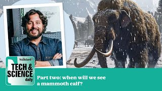 When will first woolly mammoth calf be born Part two  Tech amp Science Daily Podcast Special [upl. by Tower]