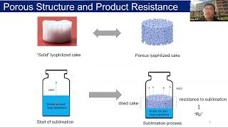 Sensitivity of Lyophilization Rate and Porous Structure to Small Changes in Freezing [upl. by Clough174]