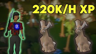 OSRS Easy 2t Woodcutting Guide [upl. by Bobbette]