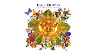 Tears For Fears  Advice For The Young At Heart [upl. by Maribelle]