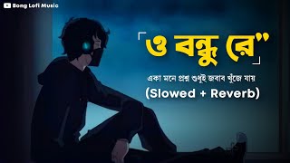 O Bondhu Re SlowedReverb  একা মনে প্রশ্ন শুধুই  Tor Naam  Zubeen Garg  Bong Lofi Music [upl. by Nelg]