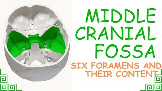 ANATOMY OF MIDDLE CRANIAL FOSSA ALL FORAMEN WITH CONTENTS [upl. by Daryle131]