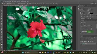 how to save as jpeg in photoshop  photoshop save as jpg  Photoshop ছবি সেভ করুন [upl. by Upali]