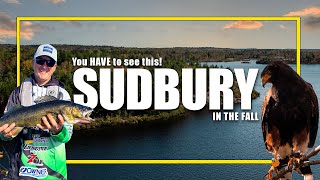 Why You NEED to Travel to Sudbury In The Fall [upl. by Ynelram]