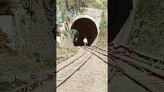 Vande BHARAT Train Himalayan shortvideo shorts short youtubeshorts youtuber train video [upl. by Alathia290]